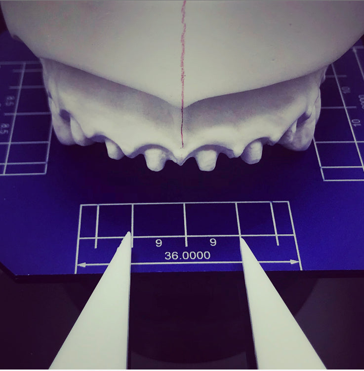 Phi Template